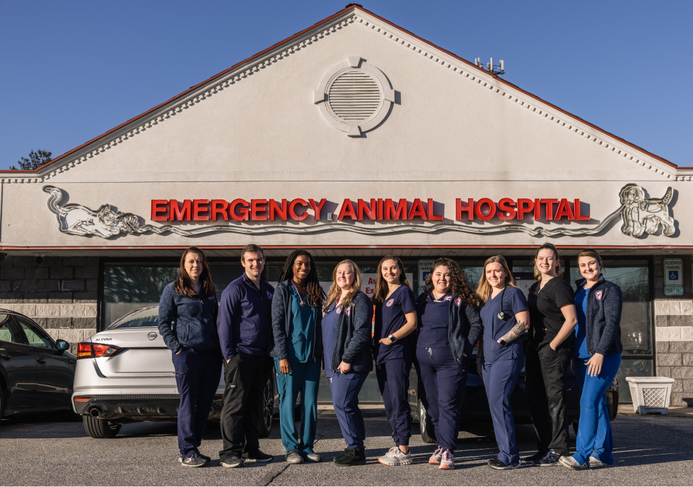 Emergency vet team standing outside of building in Ellicott City, MD